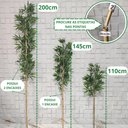 Ver imagem 4 de Kit 2 Bambu Artificial 2 Metros sem Vaso Decoração