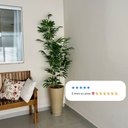 Ver imagem 5 de Kit 2 Bambu Artificial 2 Metros sem Vaso Decoração