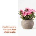 Ver imagem 4 de Vaso Redondo Búzios Pedra 13,5 Terrano