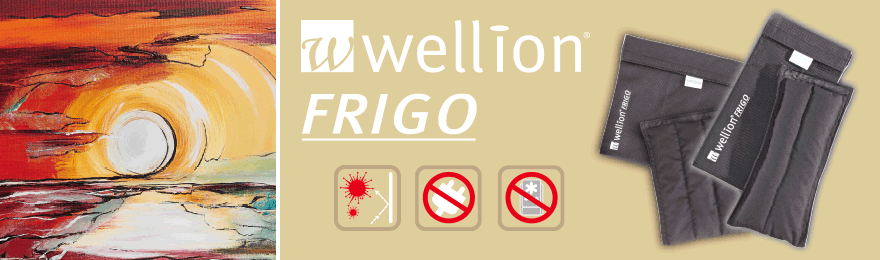 Bolsa Refrigerada para Transporte de Insulina Frigo Wellion - 3