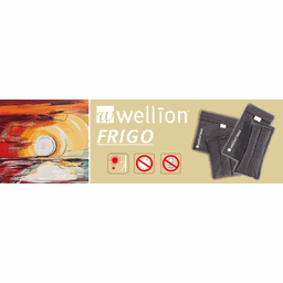 Bolsa Refrigerada para Transporte de Insulina Frigo Wellion - 3