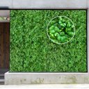 Ver imagem 1 de 22 Folhagens Artificiais Trevo para Jardim Vertical Interno Decoração de Ambientes Visual Natural