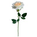 Ver imagem 4 de Kit 4 Rosas Artificiais Creme Realistas para Vasos e Centros de Mesa