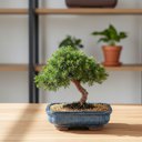 Ver imagem 4 de Vaso Cerâmica Esmaltado Bonsai (20) Azul Cascata Burguina