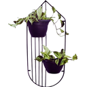 Ver imagem 1 de Aramado Para vasos de Plantas Meia Lua Para Parede