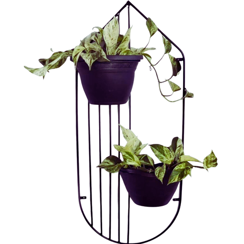 Aramado Para vasos de Plantas Meia Lua Para Parede