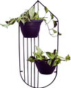 Ver imagem 1 de Aramado Para vasos de Plantas Meia Lua Para Parede