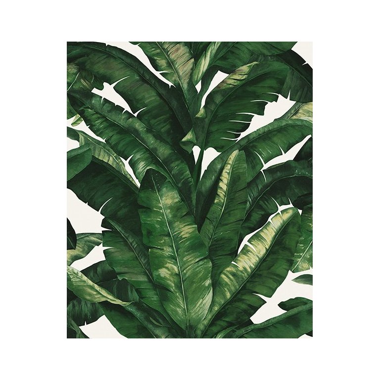 Papel de Parede importado UNIQUE 5049 rolo com 10 x 0,53mts. Edantex FOLHAGEM
