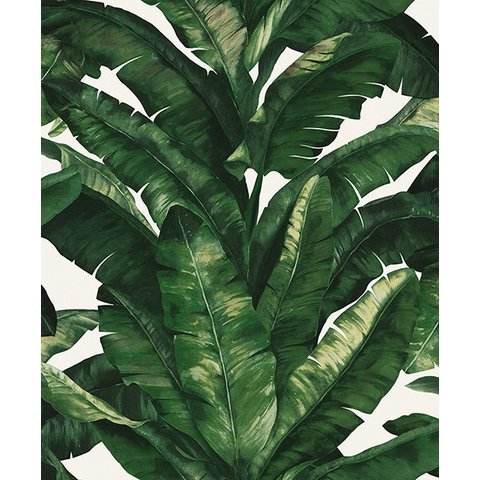 Papel de Parede importado UNIQUE 5049 rolo com 10 x 0,53mts. Edantex FOLHAGEM