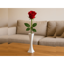 Ver imagem 1 de Vaso para Rosa