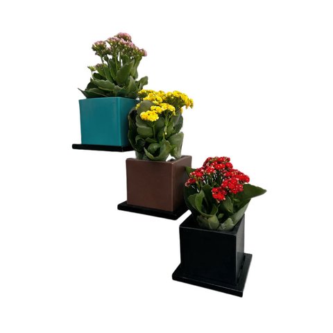 Kit 3 Vasos com Suporte Parede Escada para Plantar e Decorar Bgplasticos V1013 Azul Turquesa 018
