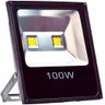 Refletor 100w Luminária Jardim Spot Luz Cor Branco Frio Led Bivolt - Preto - 110V/220V (Bivolt) - 1