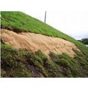 Ver imagem 3 de Manta Fibra de Coco Calandrada 1,00x1,00m (Lxcxe)