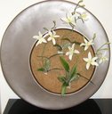 Ver imagem 3 de Placa de Fibra Coco Coquim 40x80x1,5cm Orquideas e Bromelha