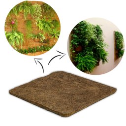 Placa de Fibra de Coco Coquim para Orquídeas 40x40x2cm - 3