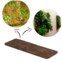 Ver imagem 1 de Placa de Fibra de Coco Coquim 20x80x2cm Orquídeas e Bromelha