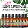 Super Kit 5 Essências a Base Água Hidrossolúvel 30ml Difusor Aroma:kit 11 Relaxantes - 6