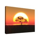 Ver imagem 1 de Quadro Decorativo Árvore no Pôr do Sol
