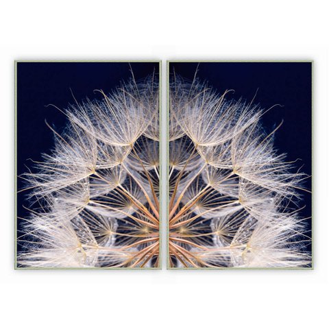 kit com 2 Quadros Decorativos Dente de Leão com Moldura e Vidro para Sala Quarto Escritório e Clínic