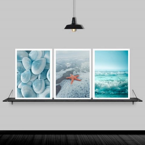 Kit 3 Quadros Praia Estrela Do Mar 33x24cm:Madeira preta