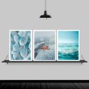 Ver imagem 1 de Kit 3 Quadros Praia Estrela Do Mar 33x24cm:Madeira preta