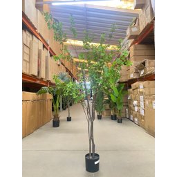Planta Artificial Sino Japonês Árvore Grande para Decoração 1.90m - 8