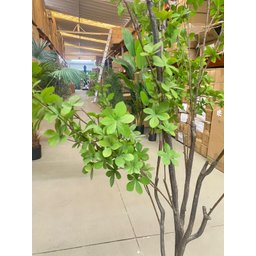 Planta Artificial Sino Japonês Árvore Grande para Decoração 1.90m - 6