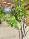 Ver imagem 6 de Planta Artificial Sino Japonês Árvore Grande para Decoração 1.90m