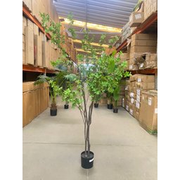 Planta Artificial Sino Japonês Árvore Grande para Decoração 1.90m - 4