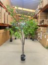 Ver imagem 4 de Planta Artificial Sino Japonês Árvore Grande para Decoração 1.90m