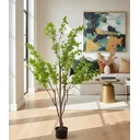 Ver imagem 1 de Planta Artificial Sino Japonês Árvore Grande para Decoração 1.90m