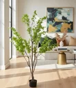 Ver imagem 1 de Planta Artificial Sino Japonês Árvore Grande para Decoração 1.90m