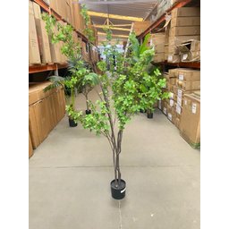 Planta Artificial Sino Japonês Árvore Grande para Decoração 1.90m - 5