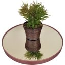 Ver imagem 3 de Mesa Lateral Rosé Gold em Ferro com Tampo em Vidro