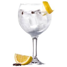 Taça Nadir Gin Tônica 600ml Embalagem 1 Unidade - 2