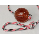 Ver imagem 3 de Brinquedo para Cães Bola Agility Cristal Lisa Guia 65mm