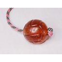 Ver imagem 5 de Brinquedo para Cães Bola Agility Cristal Lisa Guia 65mm