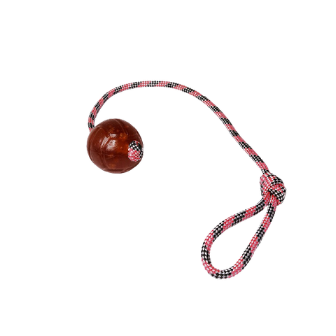 Brinquedo para Cães Bola Agility Cristal Lisa Guia 65mm