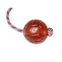 Ver imagem 6 de Brinquedo para Cães Bola Agility Cristal Lisa Guia 65mm