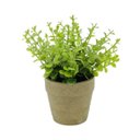 Ver imagem 3 de Mini Vaso Papel Sedum Suculenta Verde