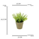Ver imagem 2 de Mini Vaso Papel Sedum Suculenta Verde