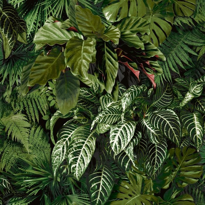 Ver imagem 1 de Papel de Parede Bucalo Ciara - Selva A58601