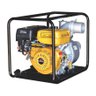 Motobomba Buffalo - 1