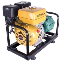 Motobomba Buffalo BFG Multiestágio P15/3 - 1½" X 1½" - 1