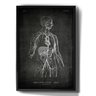 Quadro Decorativo Anatomia Humana Desenho Medicina - 1