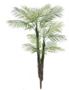 Ver imagem 1 de Planta Árvore Artificial Palmeira Phoenix Plt. X18 Verde 1,58m