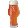 Copo de Cerveja Cristal Baden Baden Ipa 495ml - 1