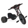 Triciclo Velotrol Bandeirantes - 234 - 1
