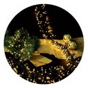 Ver imagem 1 de Kit 5 Cordão Festão LED 400 Leds Branco Quente 3 Metros Bivolt
