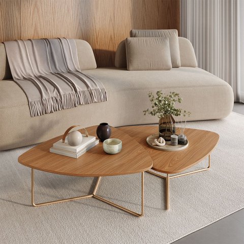 Kit 2 Mesas de Centro para Sala Design Orgânico Capri Metal Dourada - Louro Freijó/Louro Freijó
